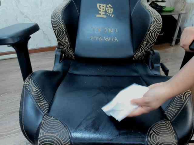 diaralan webcam