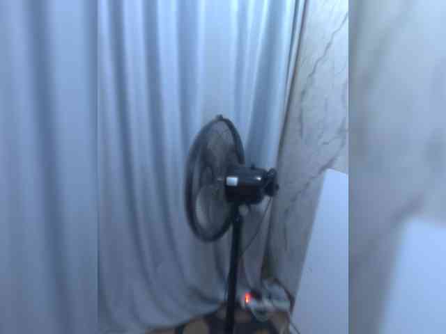 diaralan webcam