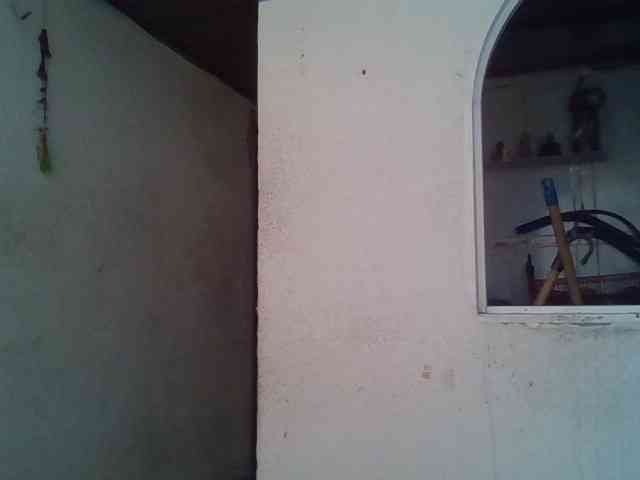 michell131