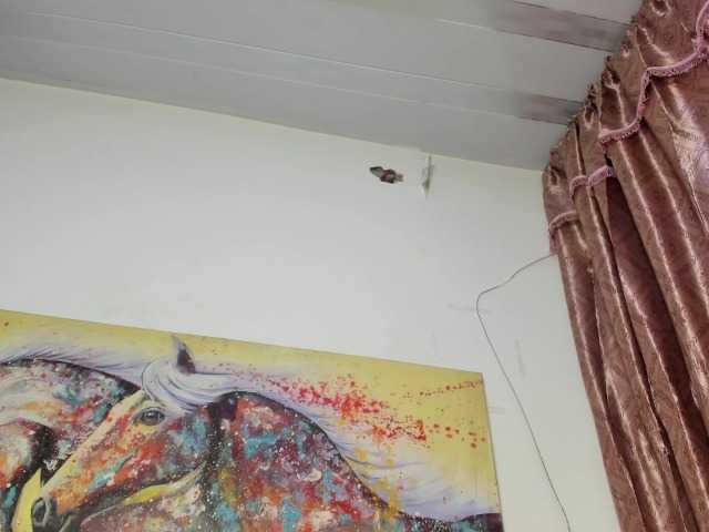 daiana-smith live cam on BongaCams
