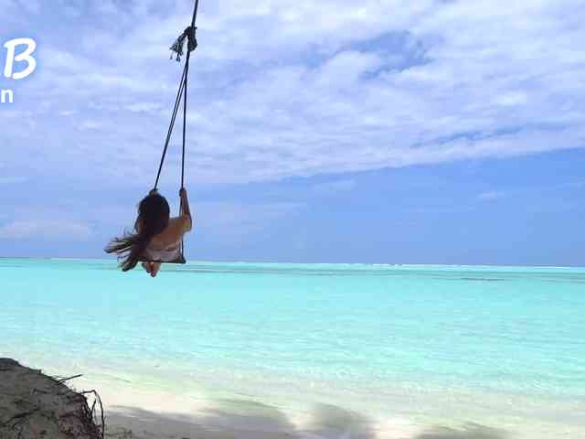 IceLady webcam