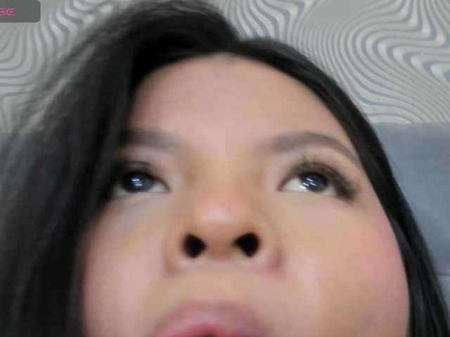 Llittlemaya