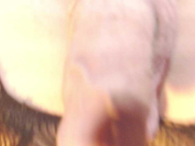 Valeriarose333