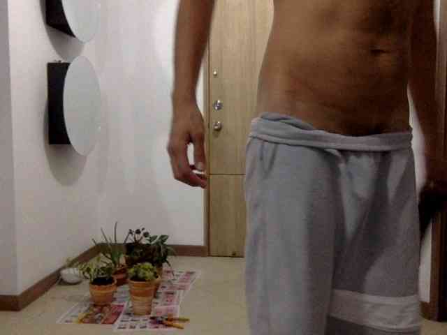 amadordavidm