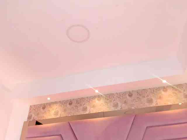 IvyRain webcam