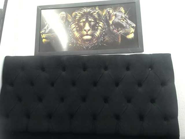 AFRODITA1152