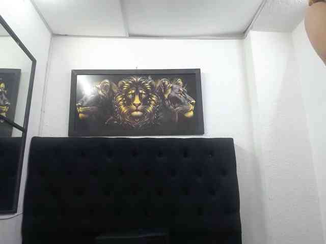 AFRODITA1152