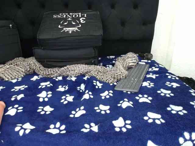 AFRODITA1152