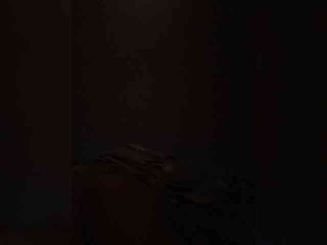 KARANDY webcam