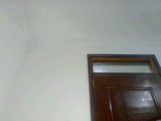 PreggoBeauty live cam on BongaCams