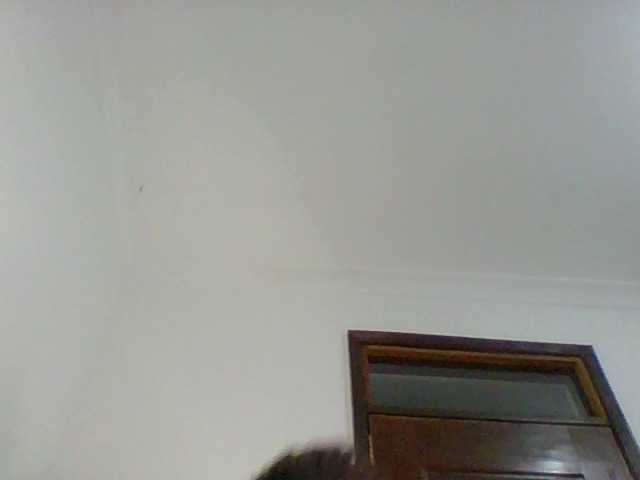 PreggoBeauty live cam on BongaCams