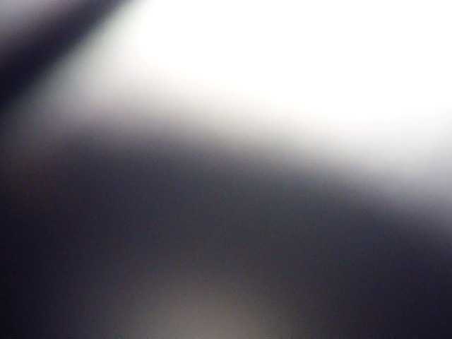 PreggoBeauty live cam preview