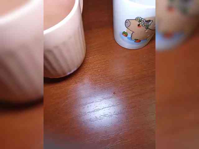 Kemi6 webcam