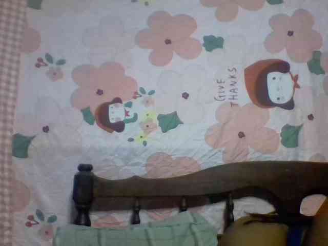 Chichi-7 webcam