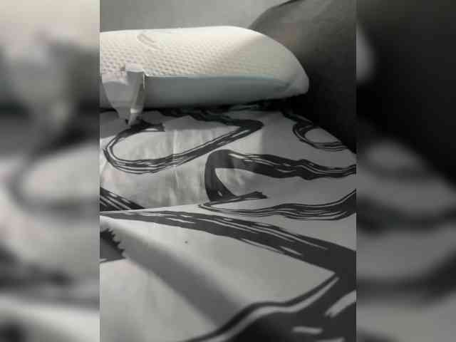 Proviilleta webcam