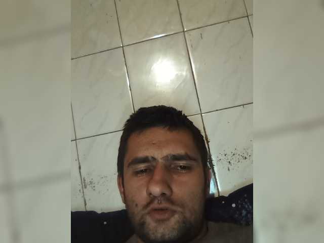 Tigr1141