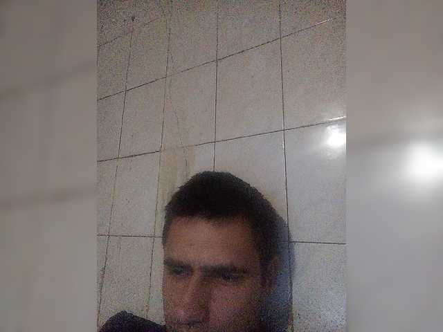 Tigr1141