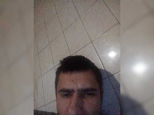 Tigr1141