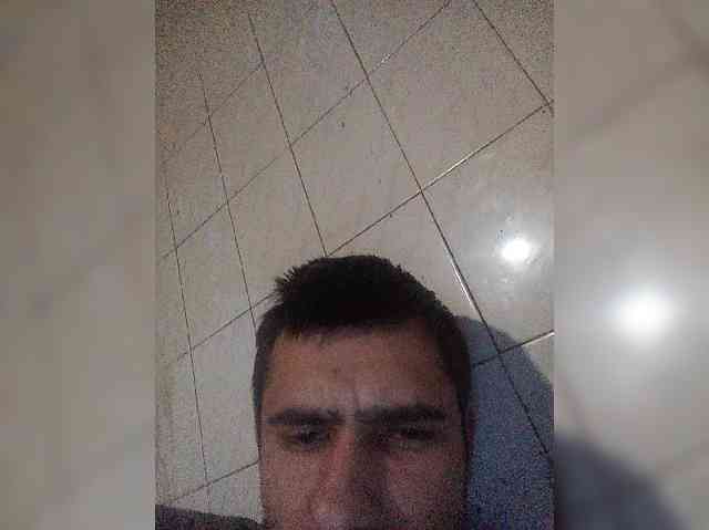 Tigr1141