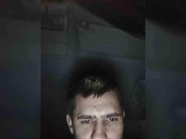 Tigr1141