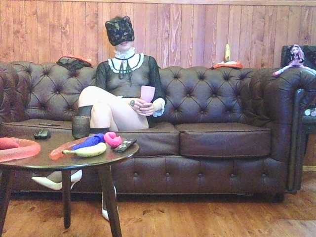 bkackkittywhitecat webcam