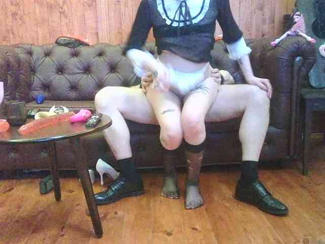 bkackkittywhitecat webcam