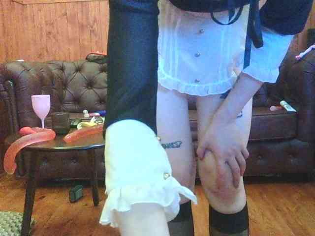 bkackkittywhitecat webcam