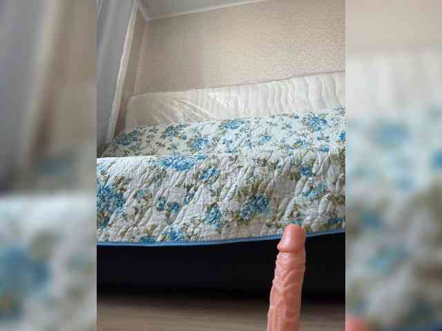 Timi-29 Timi-29
