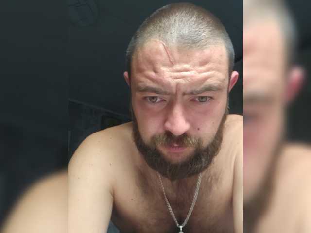 teddybear71