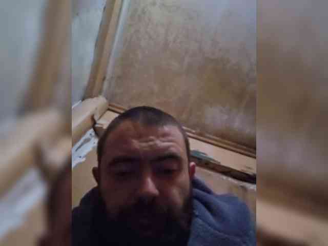 teddybear71