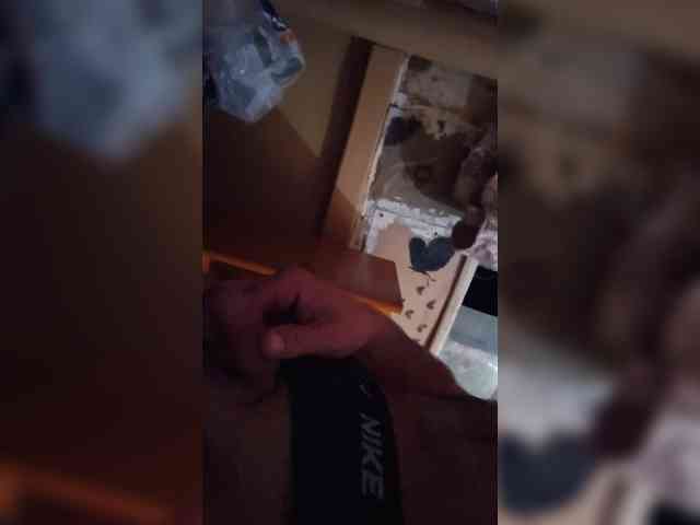 teddybear71