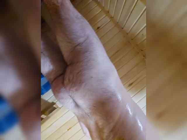 teddybear71