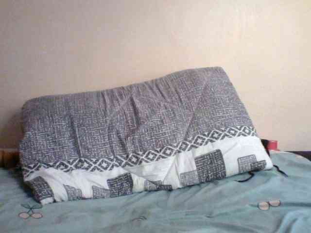Pamela7 webcam