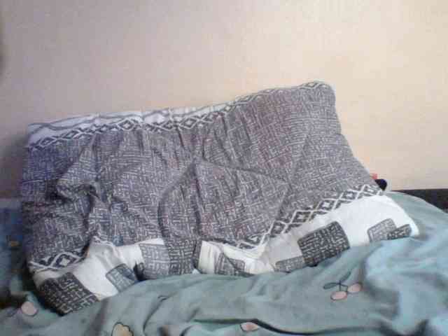 Pamela7 webcam