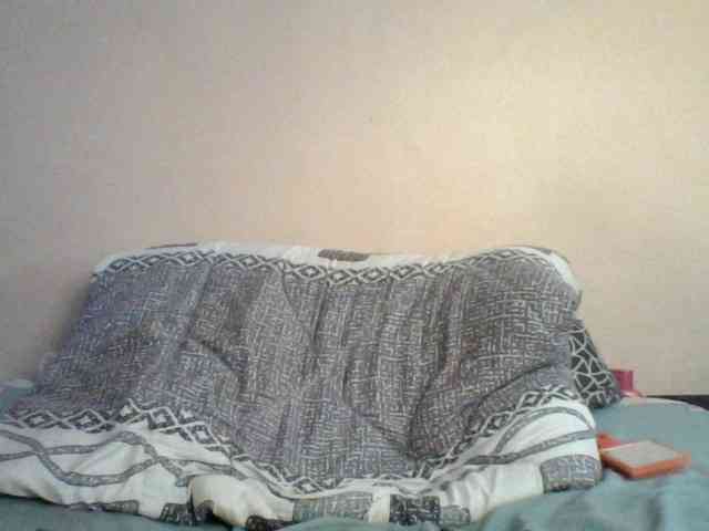 Pamela7 webcam