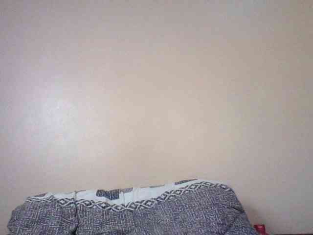 Pamela7 webcam