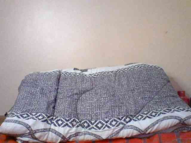 Pamela7 webcam