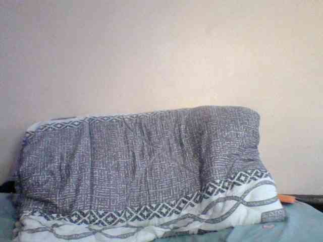 Pamela7 webcam