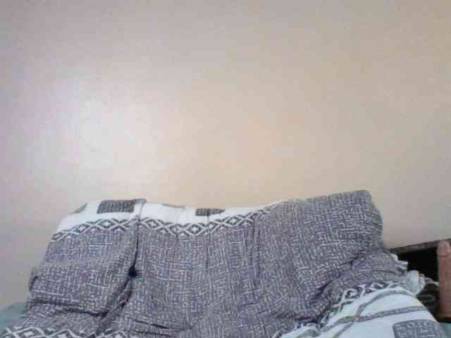 Pamela7 webcam