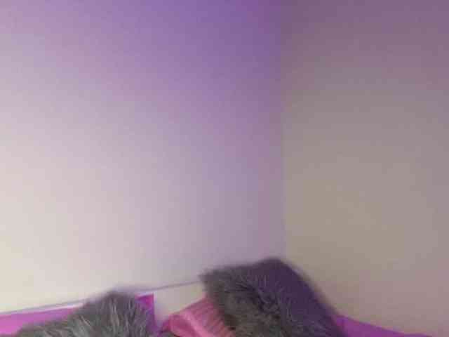 AnnaSumiko webcam