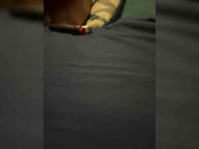 Dready101 webcam