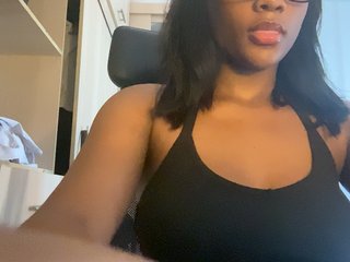 Lilavibesa