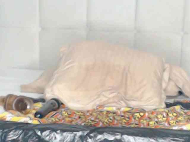 Babysasha2 webcam