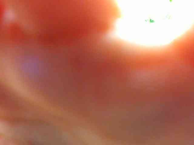 AlyssaElla webcam