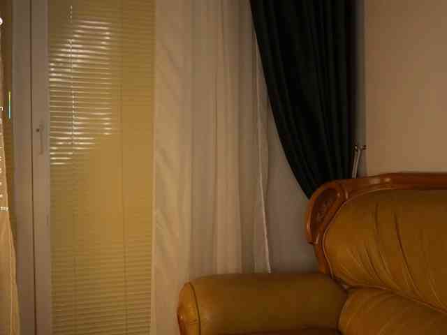 MirrorLady webcam