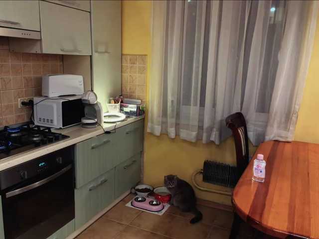 NikitaDefiglio live cam on BongaCams