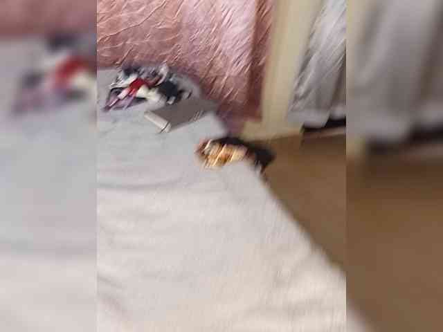 Suckmytirries webcam