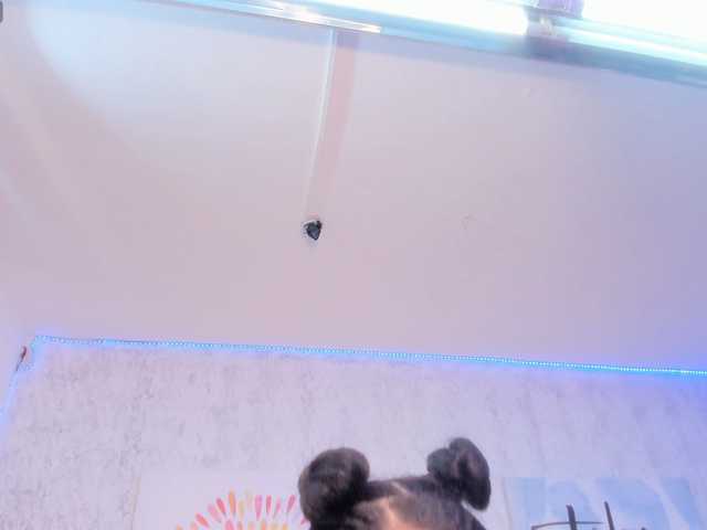 SAMANTHASWEET live cam on BongaCams