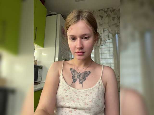 Lisakisaa