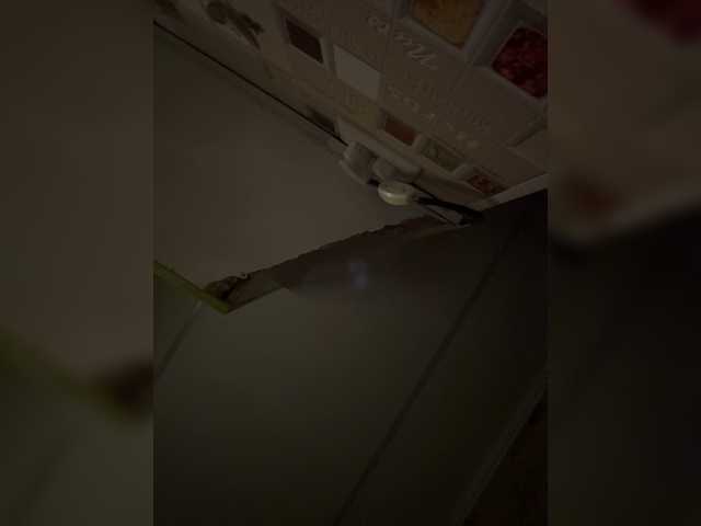 Lisakisaa